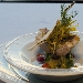 Trancio di Gallinella all'acqua pazza su tortino di scarole all'Amalfitana - -