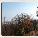 - - Panorama