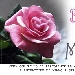 Festa della Mamma Sabato 10 Maggio al Ristorante la Chiocciola a Boscotrecase con l