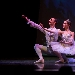 l'Accademia Ucraina di Balletto di Milano nel balletto 