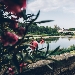 la citt� di Orl�ans, le rive della loira - copyright : bestjobers_CRT Centre-Val de Loire - -