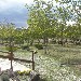 -parco - -