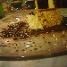Semifreddo mandorle e mirto proposto dal Ristorante La Tortuga di Baia - Bacoli (NA) - -