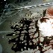 Semifreddo mandorle e mirto proposto dal Ristorante La Tortuga di Baia - Bacoli (NA) - -