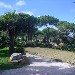 Oasi Olimpia Relais di Sant'Agata sui due Golfi - Massa Lubrense (NA) - Esterni - -