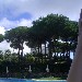 Oasi Olimpia Relais di Sant'Agata sui due Golfi - Massa Lubrense (NA) - la Piscina - -