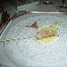 21/10 - Ristorante President - Pompei (NA) - Gamberi di Mazzara del Vallo cotti e marinati in tequila, sale maldon e buccia di limone - -