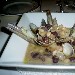 21/10 - Ristorante President - Pompei (NA) - La Zuppetta dell'Ostricaro Fisico - -