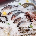 Pesce sotto ghiaccio - foto inviata da Ufficio stampa Osservatorio Nutrizionale Grana Padano