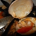 10/07 - Cena a 