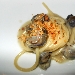 01/08/2014 - President di Pompei (NA) - A cena dall'Amico... - Primo: Maruzzella maruzz� (Spaghetti aglio e olio con sat� di scuncilli di mare, salsa di prezzemolo e tarallo napoletano) - fotografia di Luigi Farina �2014