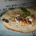 03/07 - Il Sommelier - Ercolano (NA) - 5� Tappa di Pizzarelle a Go Go - -