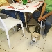 Settima Tappa di Pizzarelle a Go Go - Pizzeria Bella Napoli - Acerra (NA) - -