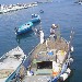 Pescatore su barca - 18/09/2011 - Castellammare di Stabia (NA) - �2011 Luigi Farina