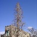 Napoli - quartiere San Giovanni - casolare davanti a laghetto - -