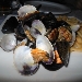 Antica Pizzeria Ciro dal 1923 - -