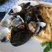 Antica Pizzeria Ciro dal 1923 - -