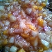 Tronchetto con pesche glassate alla lavanda - -