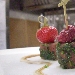 -Crudit� di Tonno ai frutti di Bosco - -