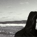 Steven Wilson - -