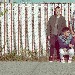 Walk The Moon - -