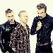 Royal Republic - -