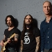 The Winery Dogs - -