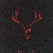 Cover del CD Carne di Maria Forte - -
