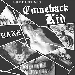 COMEBACK KID e BANE - 13/15 MAGGIO 2015 IN ITALIA - -