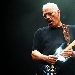 David Gilmour - -