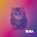Copertina del CD ON di Elisa - -