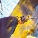 CONCERTO DEL 1� MAGGIO A BOLOGNA - -