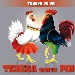 Cover del CD 