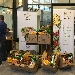 -Presentazione Progetto Solco Maggiore - -Presentazione Progetto  Solco maggiore