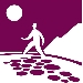 Terre del Falerno - -