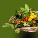 -ortaggi e verdure  - -ortaggi e verdure