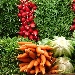 -ortaggi e verdure - -ortaggi e verdure