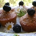 Mini cakes con farina integrale e more selvatiche - -