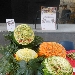 03/05 - Seconda Edizione delle Olimpiadi del Gusto - Salone exp - Esibizione di intaglio di vegetali - con lo chef Domenico Lucignano - Fotografia di Luigi Farina