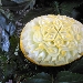 03/05 - Seconda Edizione delle Olimpiadi del Gusto - Salone exp� - Esibizione di intaglio di vegetali - con lo chef Domenico Lucignano - Fotografia di Luigi Farina