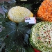 03/05 - Seconda Edizione delle Olimpiadi del Gusto - Salone exp� - Esibizione di intaglio di vegetali - con lo chef Domenico Lucignano - Fotografia di Luigi Farina