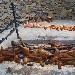 La tradizione � servita - -