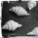 cornetti integrali - -