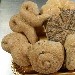 Pane agli antichi grani - -