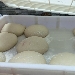 --Pizzeria Le Figlie di Iorio - -
