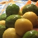 -Fichi di Perdifumo - -