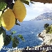 -Mangia sano... scegli Mediterraneo - -