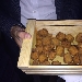 -Napoli � Fritta - -