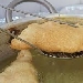 -Pizza fritta - -