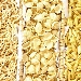-pasta di Gragnano - -